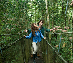 Tourists observing the jungle of Loreto